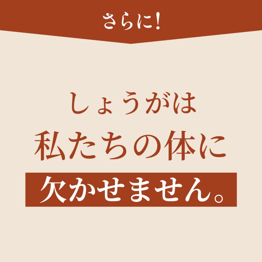 サプリ 高知産土佐一しょうがカプセル<62粒入り> おひさましょうが ショウガ サプリメント 錠剤 抹消体温対策 温活 代謝 健康食品 国産 |  | 13