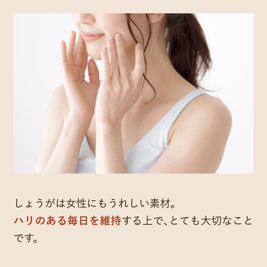 サプリ 高知産土佐一しょうがカプセル<62粒入り> おひさましょうが ショウガ サプリメント 錠剤 抹消体温対策 温活 代謝 健康食品 国産 |  | 14
