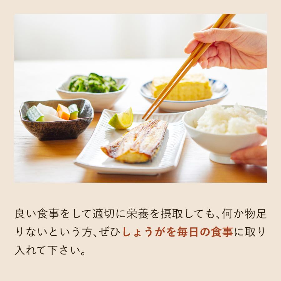 サプリ 高知産土佐一しょうがカプセル<62粒入り> おひさましょうが ショウガ サプリメント 錠剤 抹消体温対策 温活 代謝 健康食品 国産 |  | 15