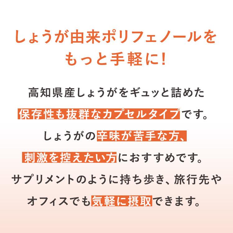 サプリ 高知産土佐一しょうがカプセル<62粒入り> おひさましょうが ショウガ サプリメント 錠剤 抹消体温対策 温活 代謝 健康食品 国産 |  | 16