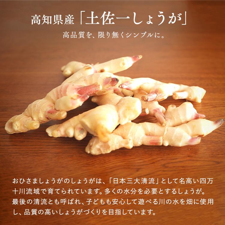 サプリ 高知産土佐一しょうがカプセル<62粒入り> おひさましょうが ショウガ サプリメント 錠剤 抹消体温対策 温活 代謝 健康食品 国産 |  | 05