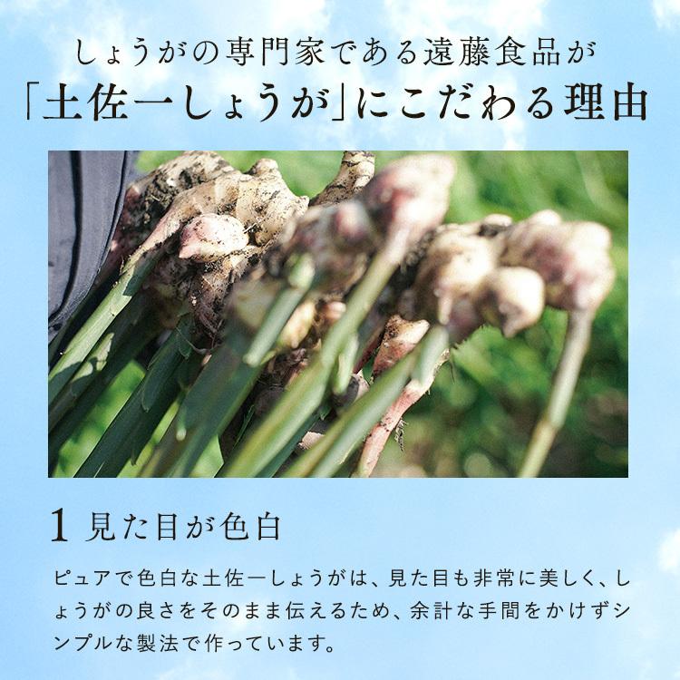 サプリ 高知産土佐一しょうがカプセル<62粒入り> おひさましょうが ショウガ サプリメント 錠剤 抹消体温対策 温活 代謝 健康食品 国産 |  | 06