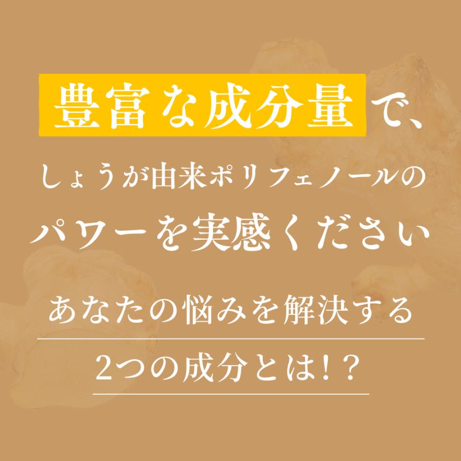 サプリ 高知産土佐一しょうがカプセル<62粒入り> おひさましょうが ショウガ サプリメント 錠剤 抹消体温対策 温活 代謝 健康食品 国産 |  | 09