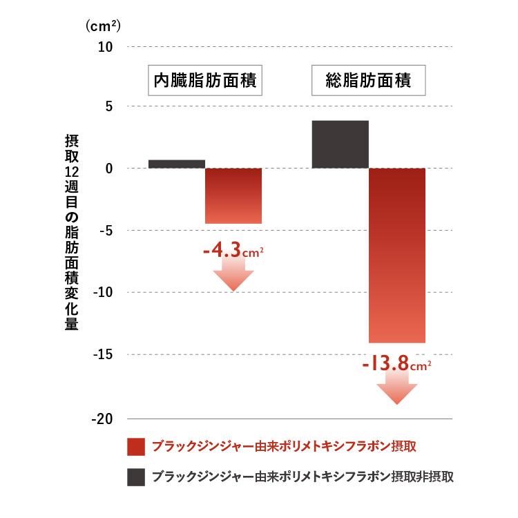 黒しょうがタブレット 62粒入り サプリメント 黒生姜 ブラックジンジャー 脂肪燃焼 新陳代謝 |  | 10