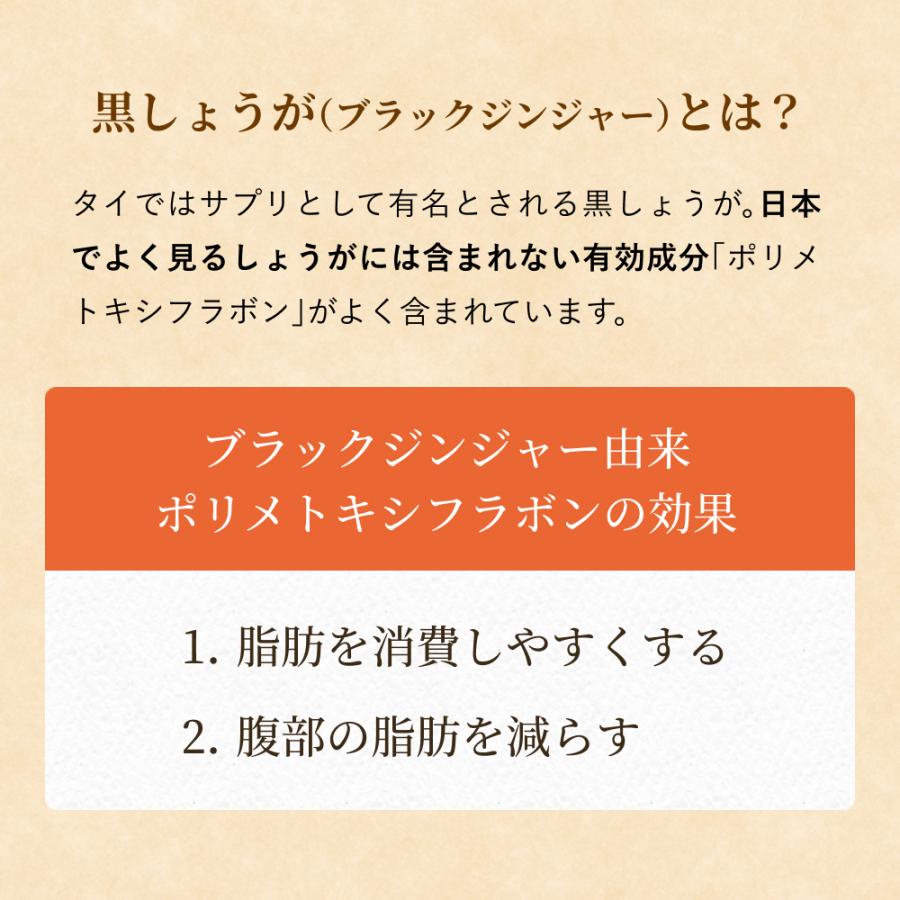 黒しょうがタブレット 62粒入り サプリメント 黒生姜 ブラックジンジャー 脂肪燃焼 新陳代謝 |  | 06