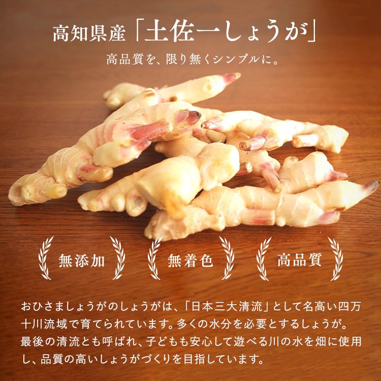 しょうがパウダー おひさましょうが 国産 高知県産土佐一生姜 抹消体温対策 温活 生姜パウダー 無添加 生姜 ショウガ  25g |  | 03