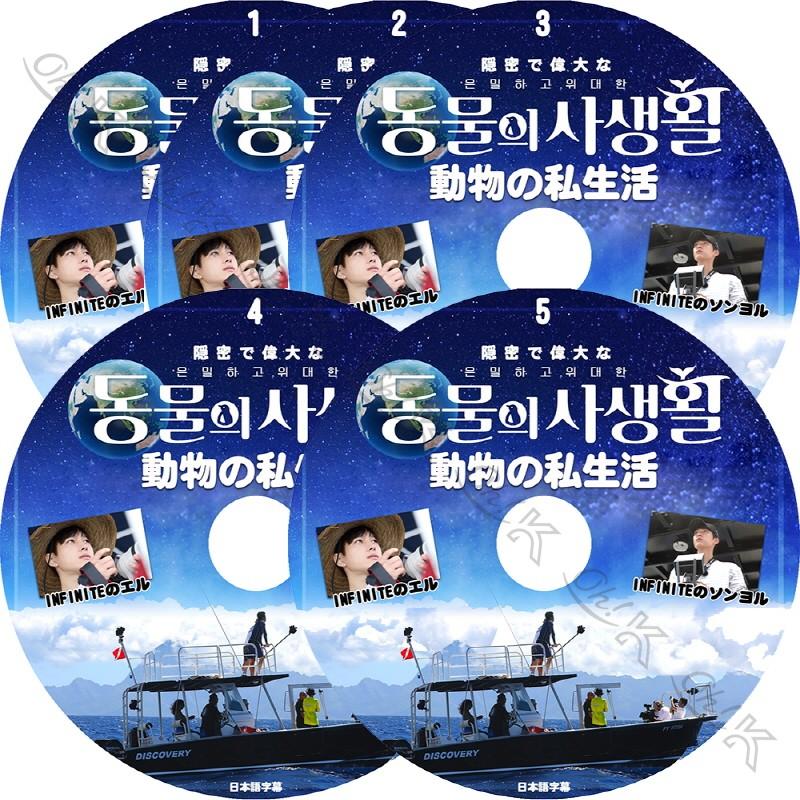 K-POP DVDINFINITE 動物の私生活 5枚SET INFINITE編 -Ep01-EP05- 完