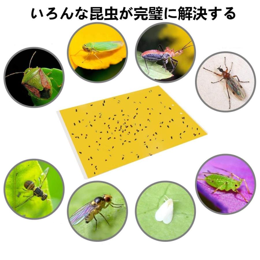 害虫捕獲粘着紙 粘着トラップ 捕虫シート ハエ取り 害虫対策用品 強力 防水 安全無毒 簡単取付 コナジラミ アザミウマ アブラムシ ハエ 蜂 蚊 ohmybox1 サイドバイサイド 通販 Yahoo ショッピング