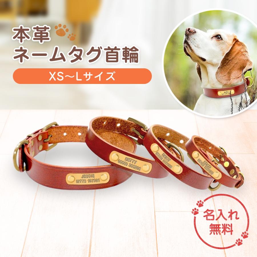 超高品質で人気の 首輪 犬 名前入り 革 レザー おしゃれ カスタマイズ かわいい ネームプレート 無料刻印 小型犬 中型犬 大型犬 迷子札 Aynaelda Com