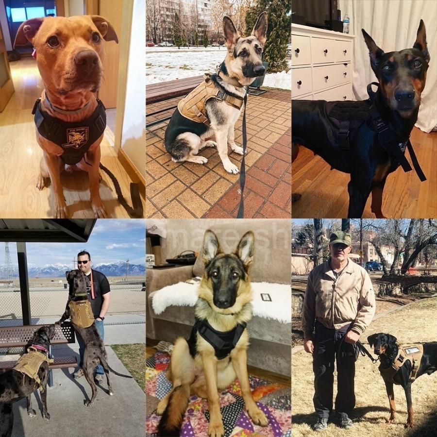 ハーネス 胴輪 中型犬 大型犬 ハーネスベルト 犬 首輪 抜けにくい