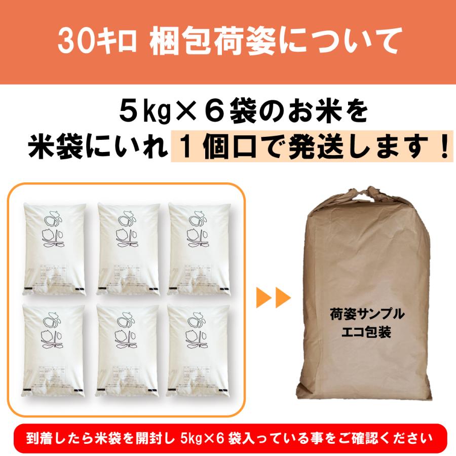 お米 30kg お米 白米 送料無料 安い 令和5年 キロ 農家直送 米 業務用 高齢者 農家のお米 たべよまい｜ohnoshokuryou-shop｜12