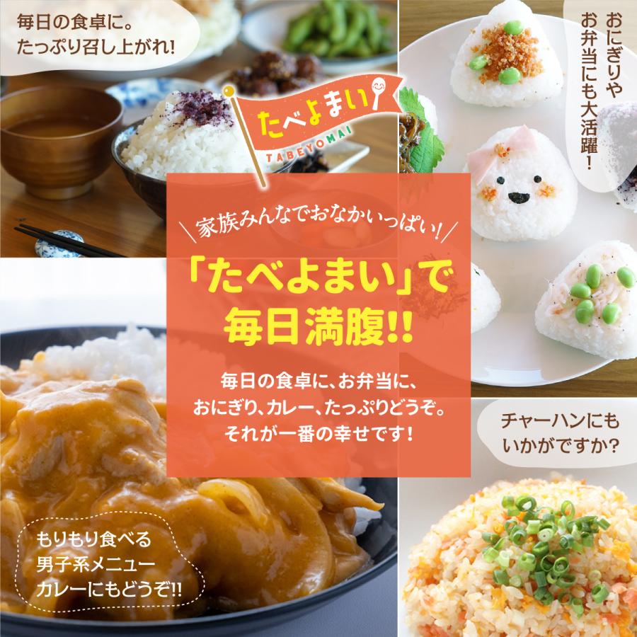 お米毎日ごはん合計10キロ〜24時間以内発送〜 おくさま印 米 お米 米10kg 白米 送料無料 令和7年産 食べてほしいんや