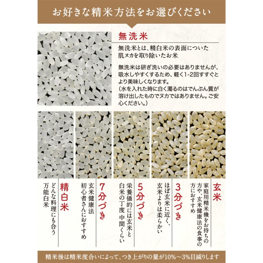 お米 米 10kg ハツシモ 白米 玄米 無洗米 3分 5分 精米オーダー可 送料無料 岐阜県産 令和5年産｜ohnoshokuryou-shop｜05