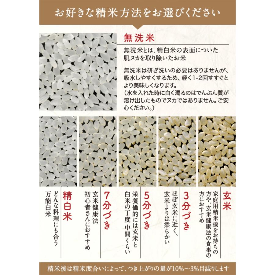 ハツシモ お米 米 30kg 白米 玄米 無洗米 3分 5分 精米オーダー ハツシモ お米 米 30kg 白米 玄米 無洗米 3分 5分 精米オーダー