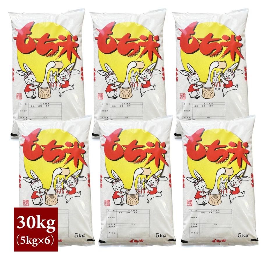 もち米 30kg （5kg×6袋） 岐阜県産 複数原料米 送料無料 : うまい米