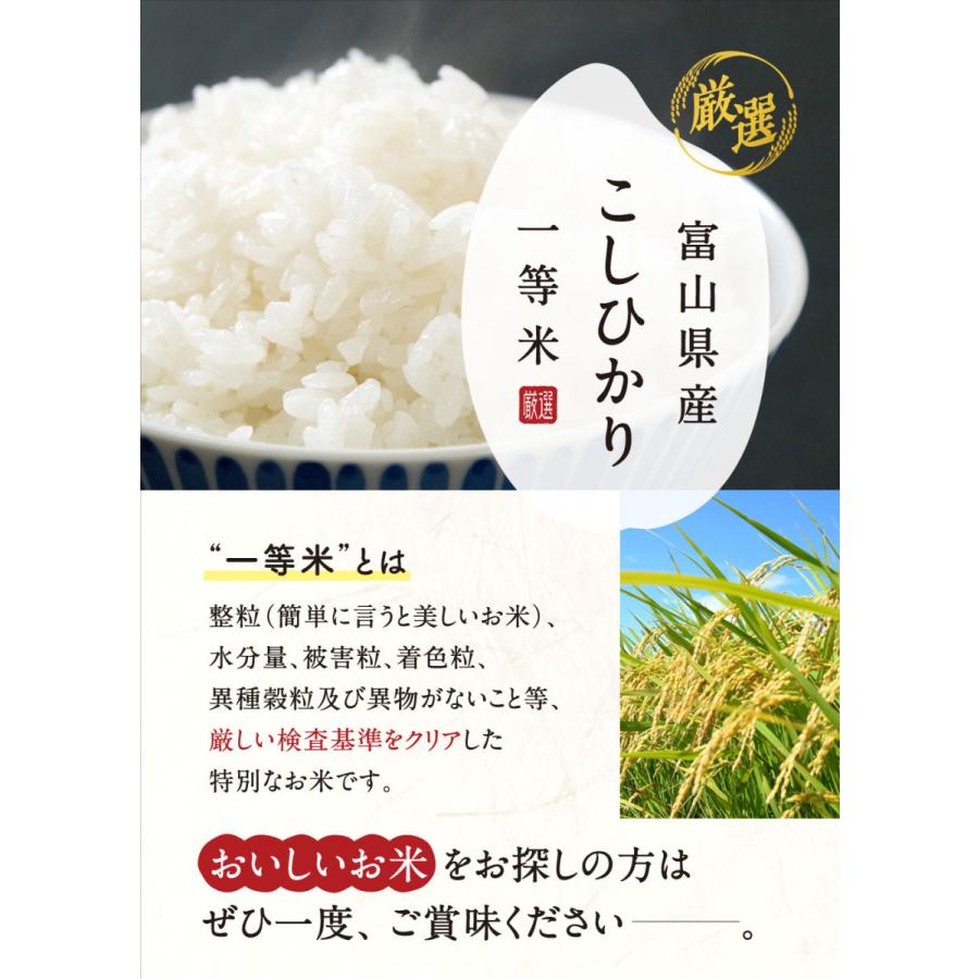 コシヒカリ お米 30kg 令和5年産 富山県産 1等米 こしひかり コシヒカリ お米 30kg 令和5年産 富山県産 1等米 こしひかり