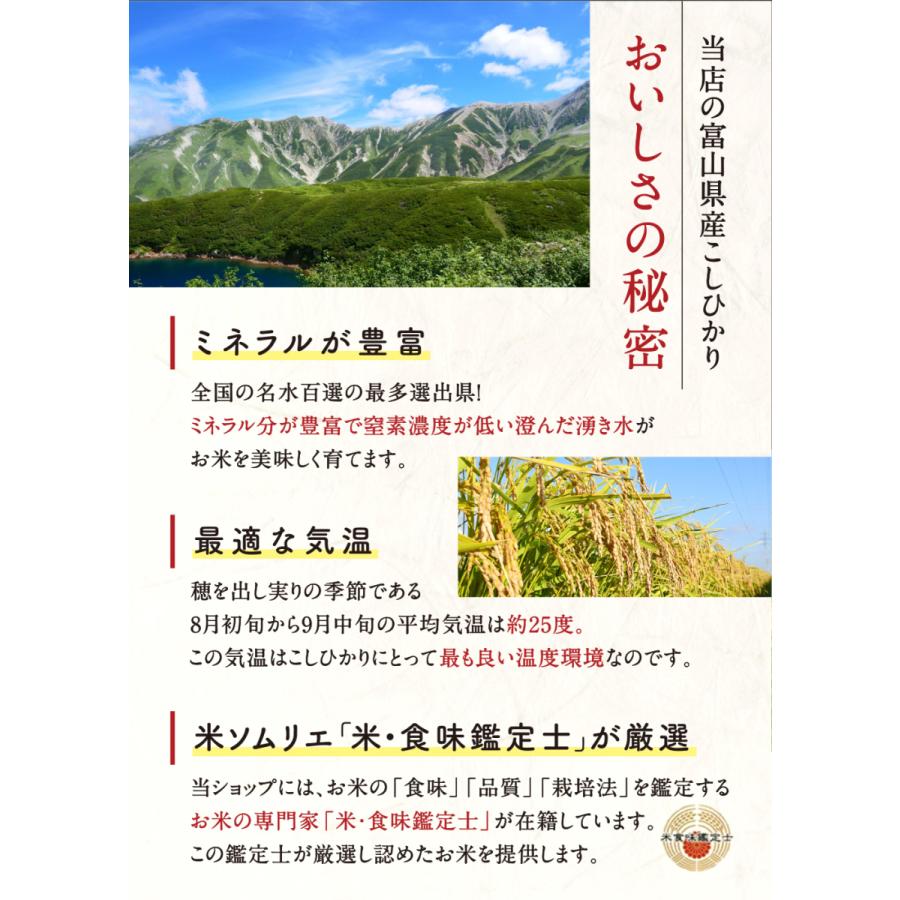コシヒカリ お米 30kg 令和5年産 富山県産 1等米 こしひかり コシヒカリ お米 30kg 令和5年産 富山県産 1等米 こしひかり