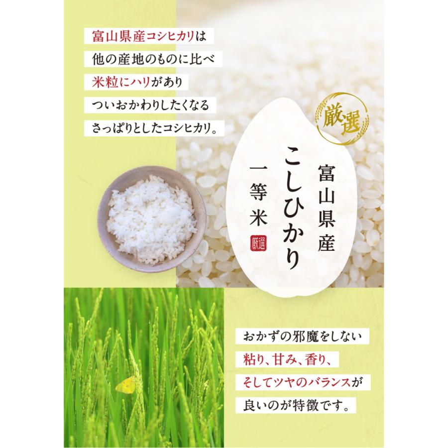 コシヒカリ お米 30kg 令和5年産 富山県産 1等米 こしひかり コシヒカリ お米 30kg 令和5年産 富山県産 1等米 こしひかり