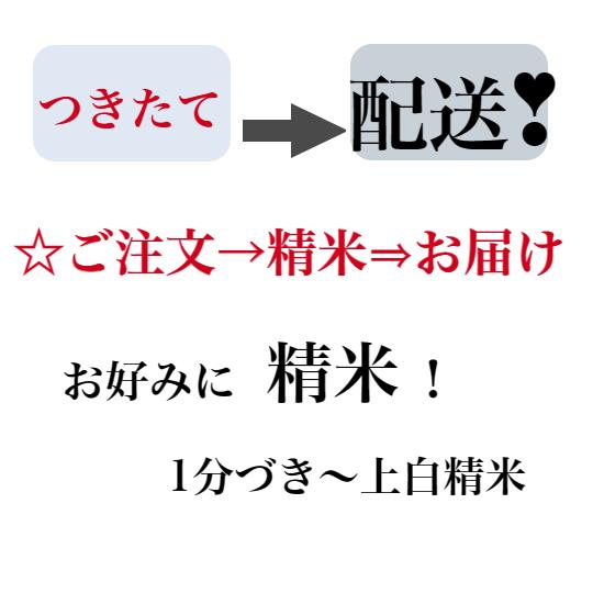 新米ヒノヒカリ 令和5年産 奈良県産 ヒノヒカリ お米 10kg 送料無料 玄米 白米 奈良 ひのひかり 玄米 から 精米 選択可能｜ohnoya-netshop｜04