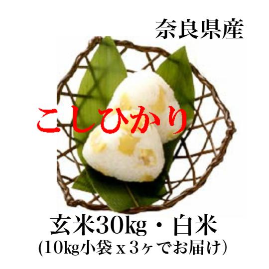 奈良県産 農家直送 コシヒカリ 玄米30kg 送料込み 米 玄米30キロ」の人気