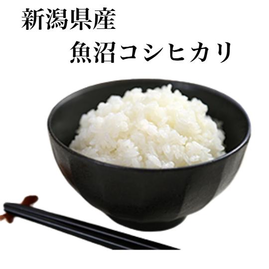 コシヒカリ 新米コシヒカリ令和7年産 新潟 魚沼 お米10kg 玄米 白米 