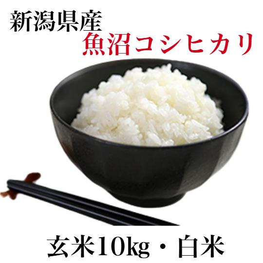 コシヒカリ 新米コシヒカリ令和7年産 新潟 魚沼 お米10kg 玄米 白米 