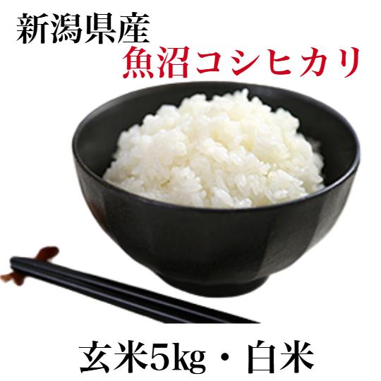 コシヒカリ 新米コシヒカリ 令和7年産 新潟 魚沼 お米 5kg 玄米 白米 