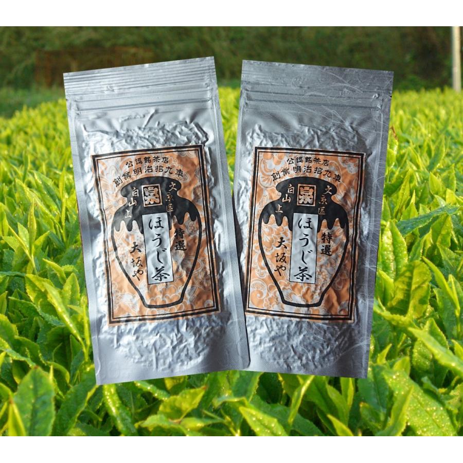 ほうじ茶　お茶 緑茶 日本茶 ポイント消化　ほうじ茶30ｇ×２本｜ohsakaya-store