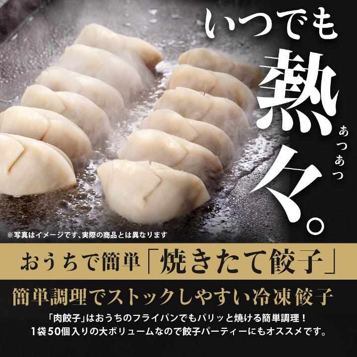 米 餃子 取り寄せ 大阪王将 冷凍餃子 お取り寄せグルメ 大阪王将ザ・お試しセット 中華 冷凍食品 王将 点心セット 食品 点心 チャーハン 爆買 | 大阪王将 | 07