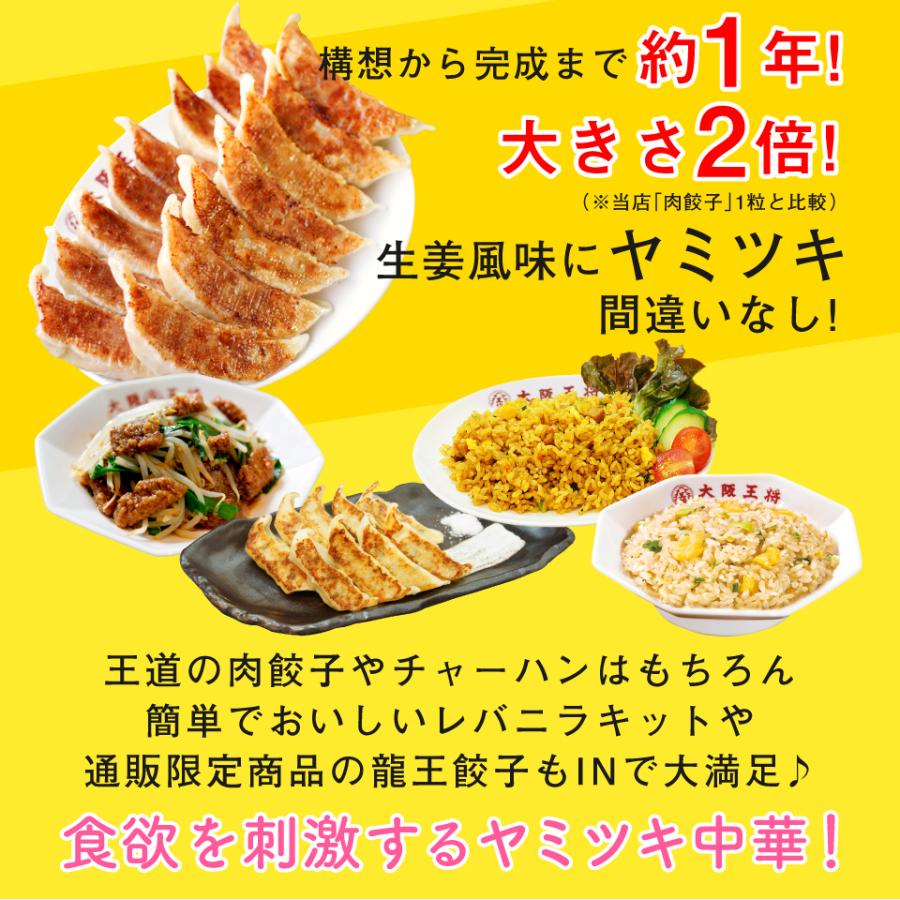 大阪王将春の中華まつり 2024 現金還元福袋＜5000円コース＞ (餃子 中華 お取り寄せグルメ 冷凍食品 チャーハン 炒飯 食品 冷凍 点心 焼売 中華丼 国内製造｜ohsho｜09