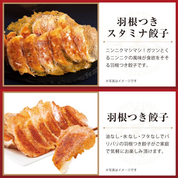 餃子 取り寄せ 大阪王将 2種の羽根つき餃子セット 送料無料 冷凍餃子 中華 冷凍食品 お取り寄せグルメ 通販 羽根つき餃子 点心 ギョーザ 爆買 | 大阪王将 | 02