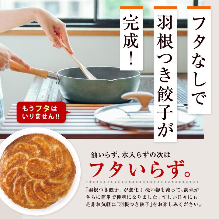 大阪王将 餃子 取り寄せ 羽根つき餃子200個セット 送料無料 冷凍餃子