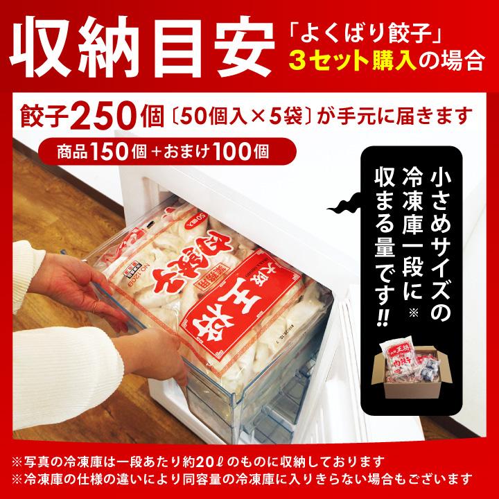 大阪王将 【複数購入でおまけ付き】 餃子 取り寄せ 冷凍餃子 お