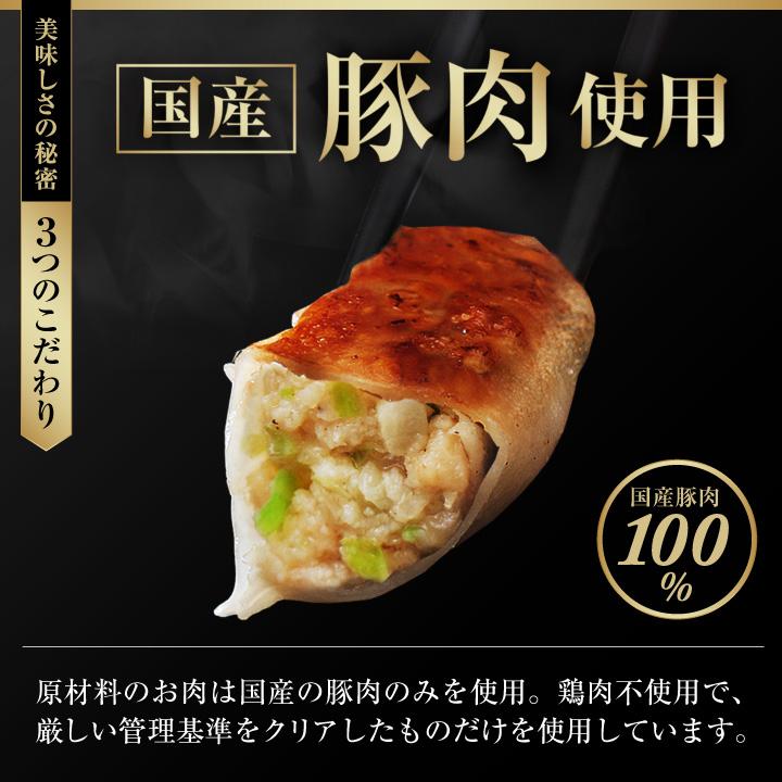大阪王将 【複数購入でおまけ付き】 餃子 取り寄せ 冷凍餃子 お