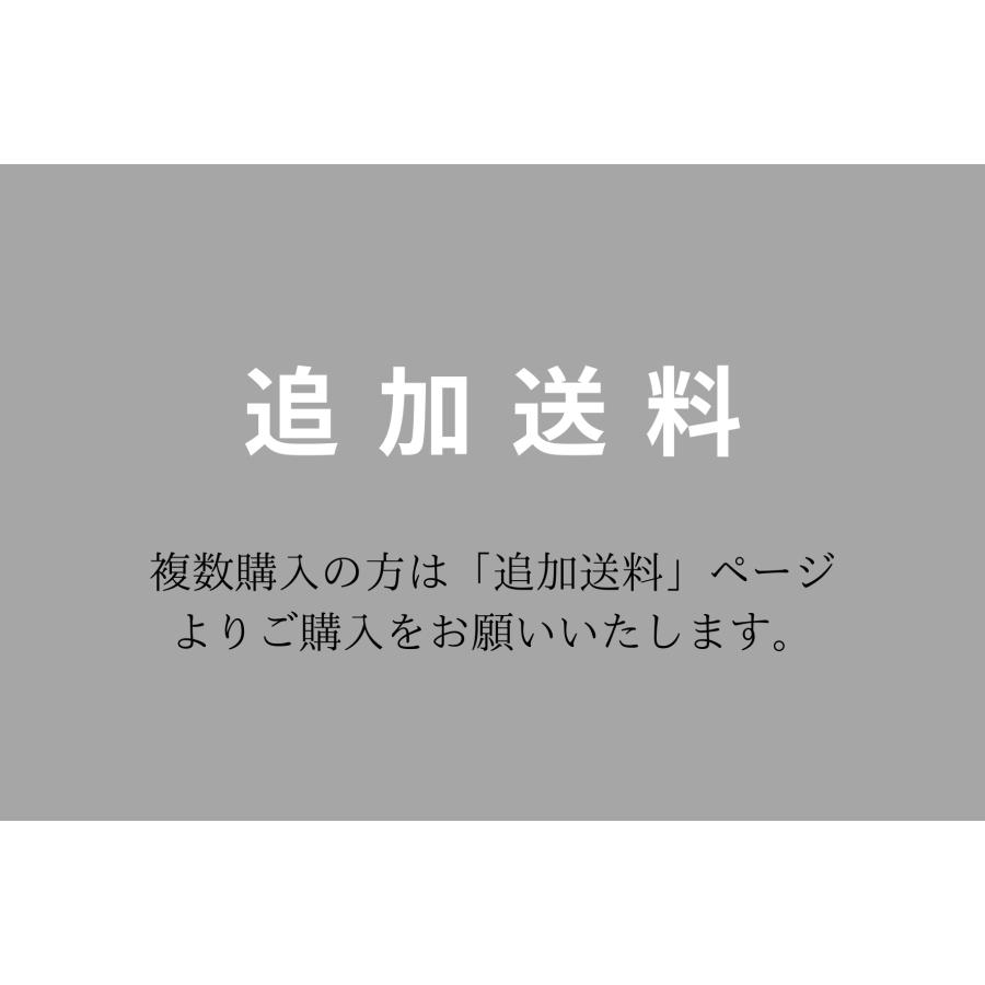 太田式自作箱罠キット（メッキ加工済み・溶接不要タイプ） |  | 02