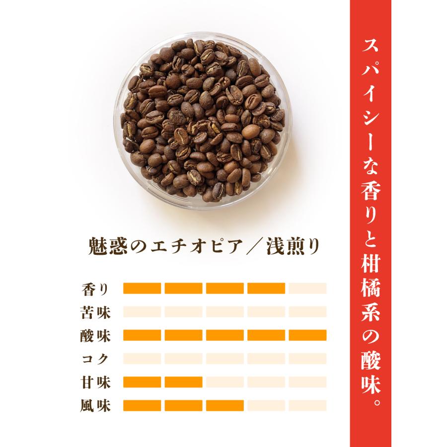 コーヒー豆 100g 魅惑のエチオピア 浅煎り コーヒー専門店 モカ