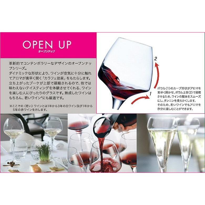 ワイングラス シェフ＆ソムリエ オープンナップ タニック55 550ml
