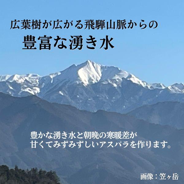 塩ラーメン　アスパラガス　6食　飛騨アスパラ　水村農園　老田屋　コラボ　生麺　生ラーメン　送料無料　飛騨市