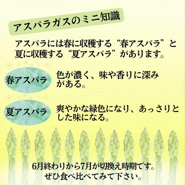 塩ラーメン　アスパラガス　6食　飛騨アスパラ　水村農園　老田屋　コラボ　生麺　生ラーメン　送料無料　飛騨市