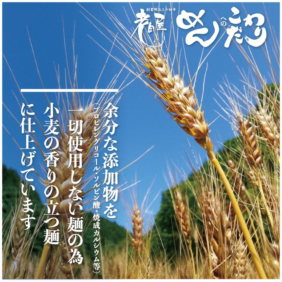 夏の食べ比べセット　送料無料　冷し中華　冷し中華梅味　細打ちぢれ麺　観光地応援　飛騨市　｜oidayamen｜13