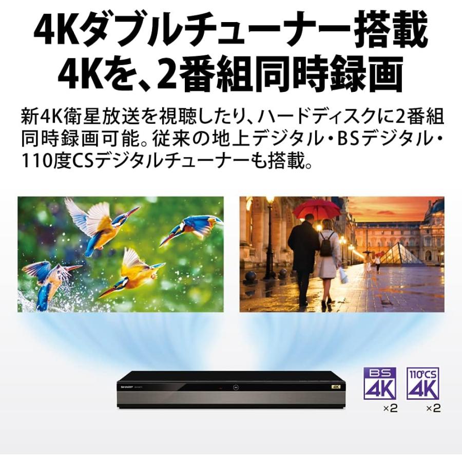 SHARP（シャープ） 新品シャープ 1TB 2番組同時録画 4K ブルーレイ
