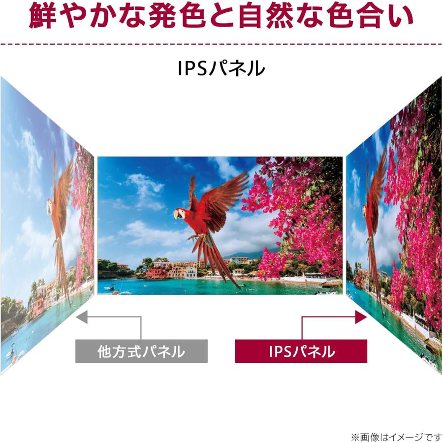 LGエレクトロニクス 新品 LG PCモニター 27MS500-B 27インチ 