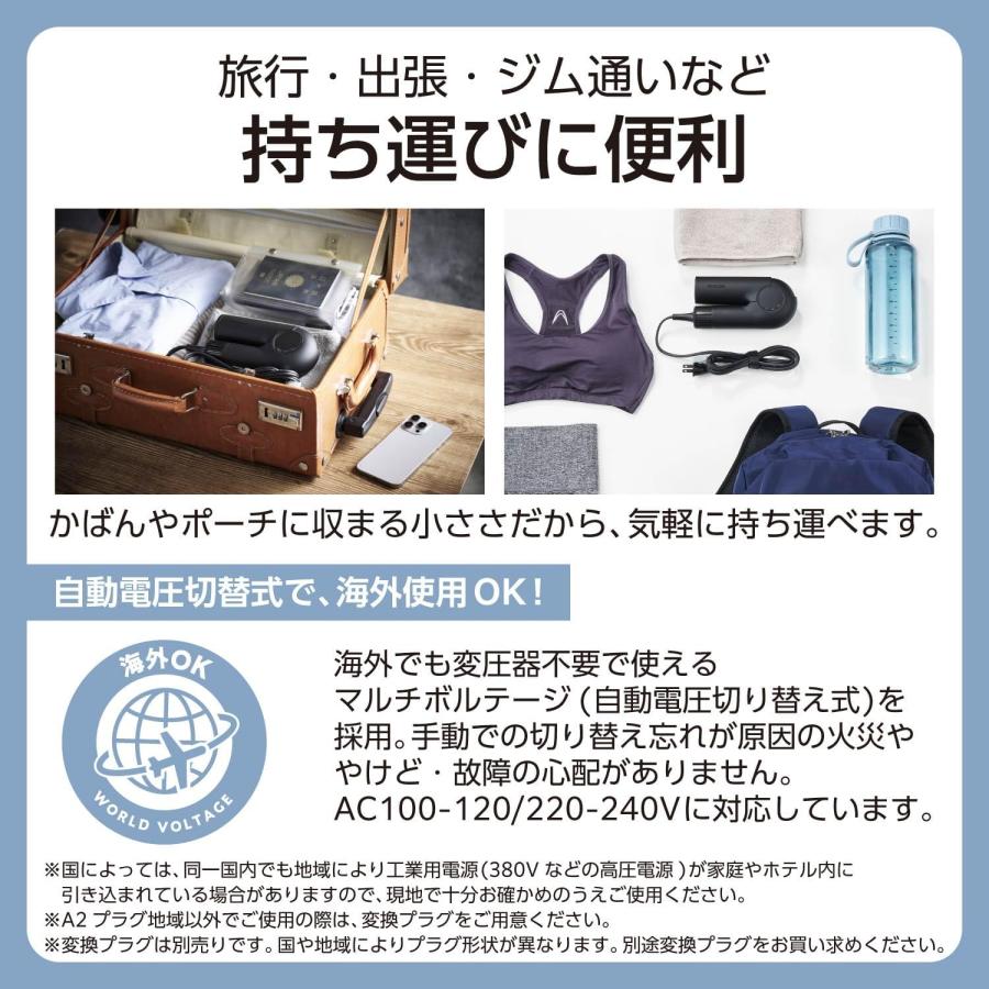 テスコム ドライヤー プロテクトイオン 折りたたみ 軽量 持ち運び ブラック テスコム（TESCOM） 新品 ドライヤー プロテクトイオン 折りたたみ