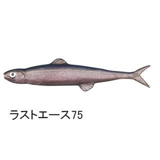 EverGreen（エバーグリーン） FACT ラストエース75 ＃026 プロブルー