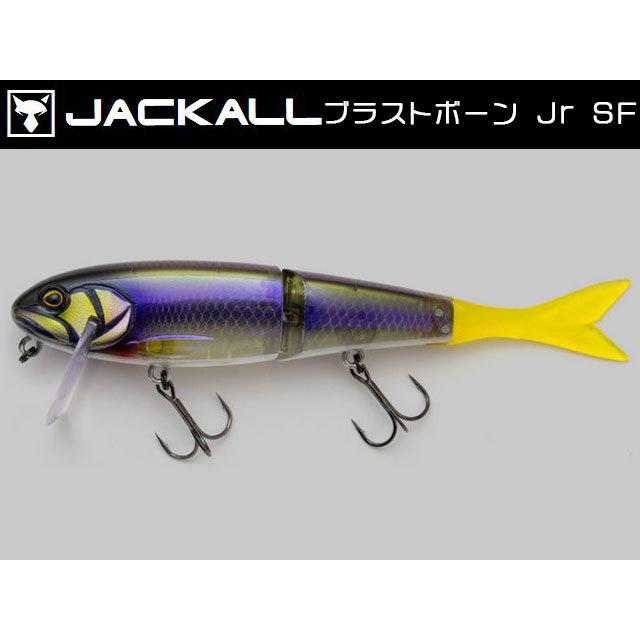 ジャッカル ブラストボーンJr.2個セット ジャッカル ブラストボーン