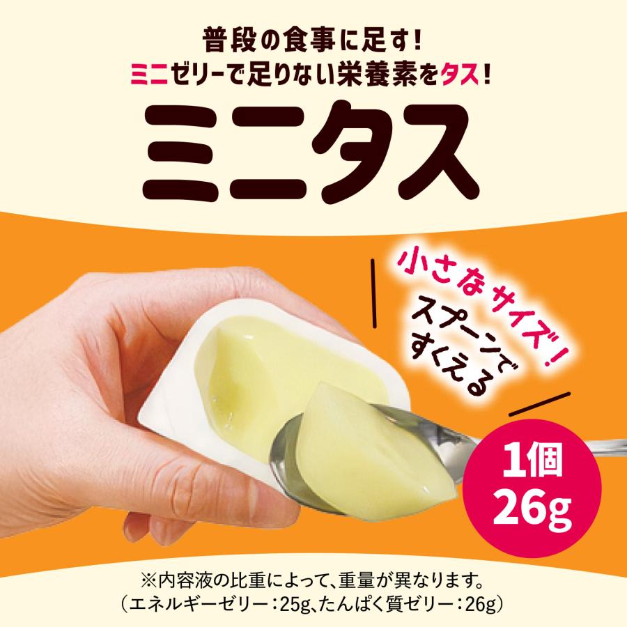 日清オイリオ（Nisshin OilliO） 食用油 オイル MCTオイル ミニタス 