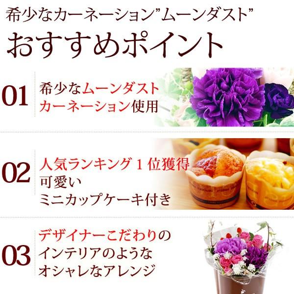 母の日ギフト 花 母の日 プレゼント 花とスイーツ カーネーション ギフトランキング 鉢植え お菓子 ムーンダスト フラワーアレンジ 5 花とスイーツ おいもや 通販 Yahoo ショッピング