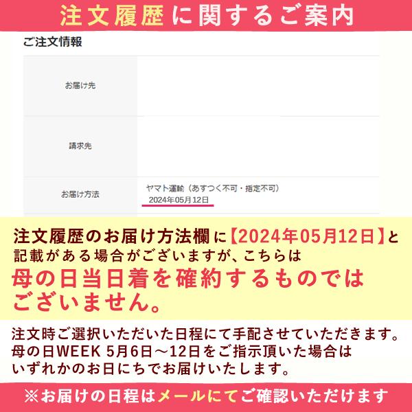 母の日 プレゼント スイーツ ギフト 2024 お菓子 ケーキ アイス アイスケーキ 洋菓子 アイスクリーム 花以外 贈り物 食べ物 チョコレート 60代 70代 80代｜oimoya｜19