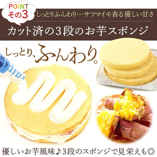 誕生日ケーキ キット お菓子 チョコレート ギフト 誕生日プレゼント ショートケーキ 手作り 5号 子ども スイーツ バースデー お祝い セット 食育｜oimoya｜15