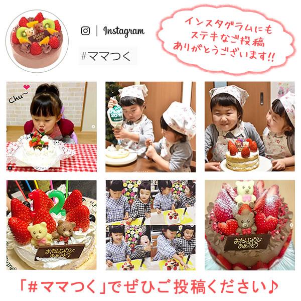 クリスマスケーキ 22 予約 ケーキ 手作り キット 22 お菓子 簡単 誕生日ケーキ お祝い ショートケーキ ホールケーキ お菓子 スイーツ 冷凍 5 花とスイーツ おいもや 通販 Yahoo ショッピング